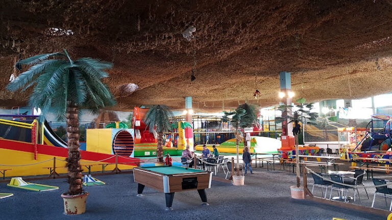 1137 bf9c29c0adf8 768x432