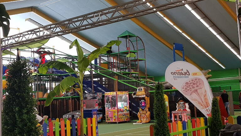 1624 fa9297bf1214 768x432